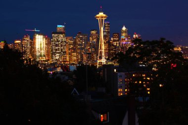 seattle, washington manzarası, gece