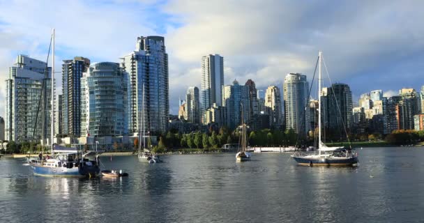 Skyscrapers Boats Vancouver British Columbia — Stock Video