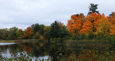 The Salisbury Pond in Worcester, Massachusetts late autumn clipart