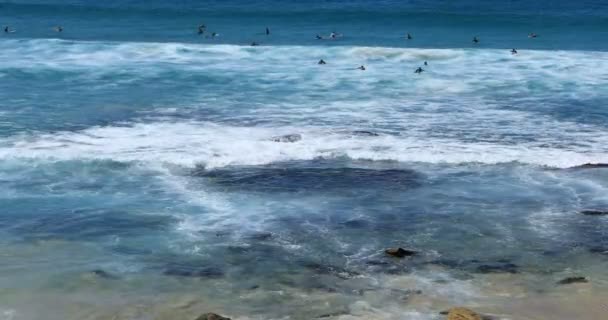 Sidney Deki Bondi Plajı Nda Sörf Yapın Avustralya — Stok video