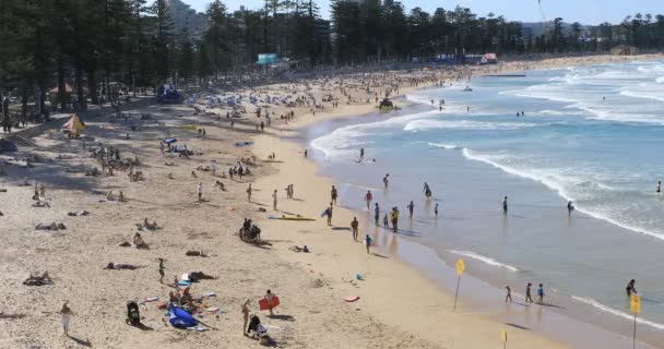 Männlicher Strand Sydney Australien — Stockvideo