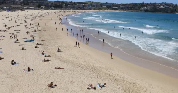 Bondi Beach Сиднее Австралия — стоковое видео