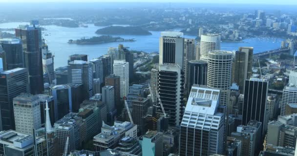 Vue Aérienne Sydney Australie Skyline — Video