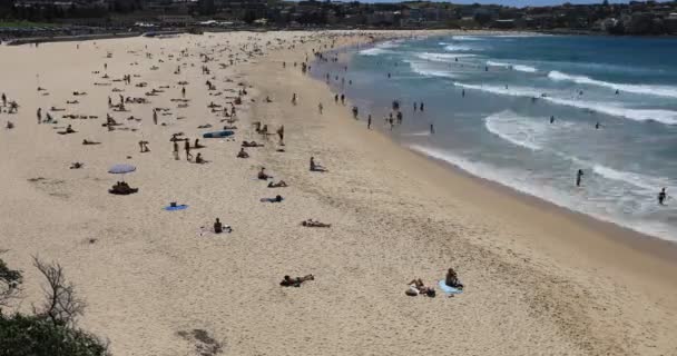 Timelapse Bondi Beach Сиднее Австралия — стоковое видео