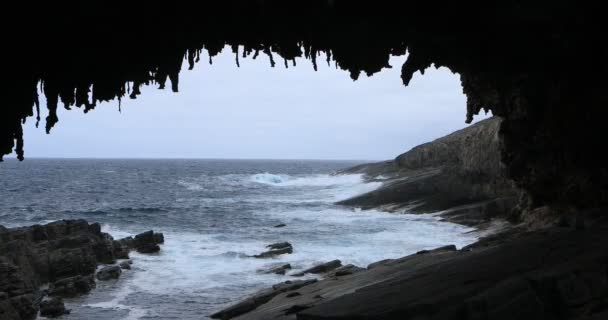 Admiral Arch Kangaroo Island Australia – stockvideo