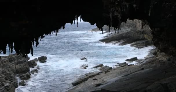 Admiral Arch Kangaroo Island Australien — Stockvideo