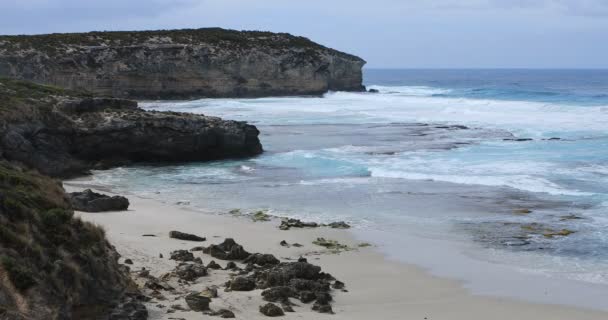 Kustlijn Cape Willoughby Kangaroo Island Australië — Stockvideo