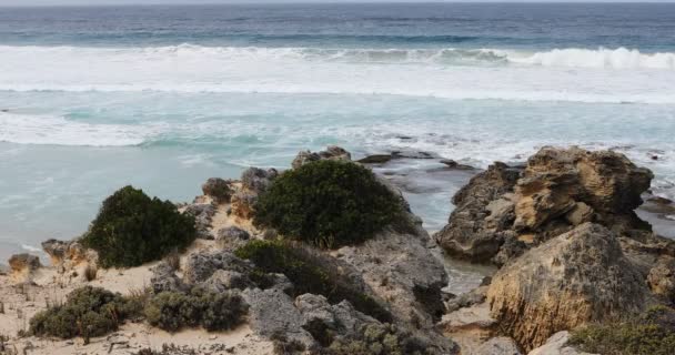 Strandlinje Kangaroo Island Australien — Stockvideo