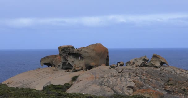 澳大利亚袋鼠岛的非凡岩石 — 图库视频影像