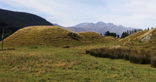 Natuurlijke Heuvels Nieuw Zeeland — Stockvideo