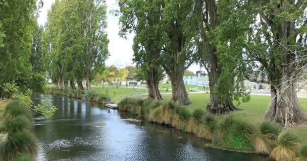 クライストチャーチ ニュージーランドの木並みの川 — ストック動画