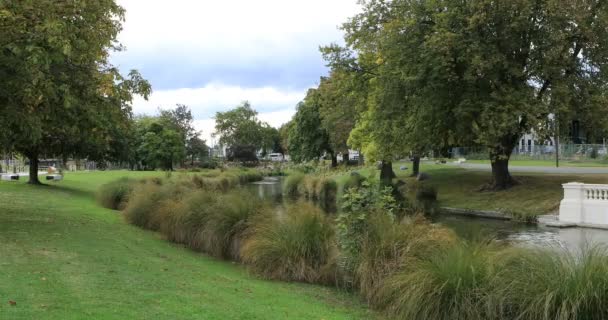Ağaç Christchurch Yeni Zelanda Şehir Nehir Kaplı — Stok video