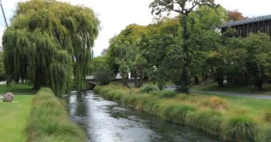 Ağaç Christchurch, Yeni Zelanda şehir merkezinde 4k nehir kaplı