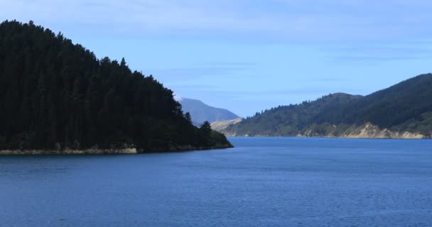 Krásný Výhled Cookského Průlivu Nový Zéland — Stock video
