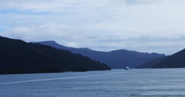 Mountain Coastline Cook Strait New Zealand — Stock Video