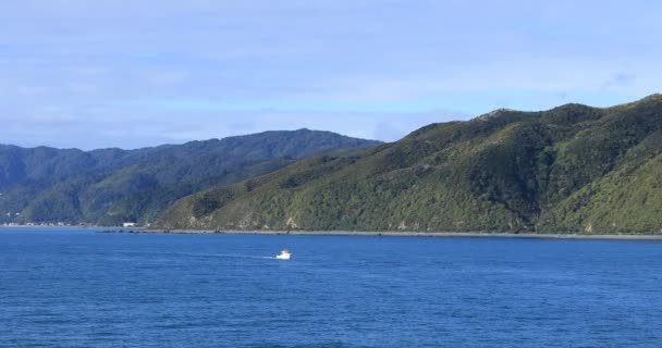 Línea Costera Faros Desde Estrecho Cook Nueva Zelanda — Vídeo de stock