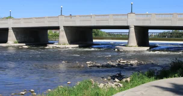 Cambridge Grand River Kanada Görünümü — Stok video