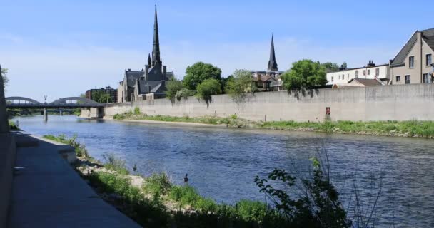 Cambridge Canada Scene Grand River — Stock Video