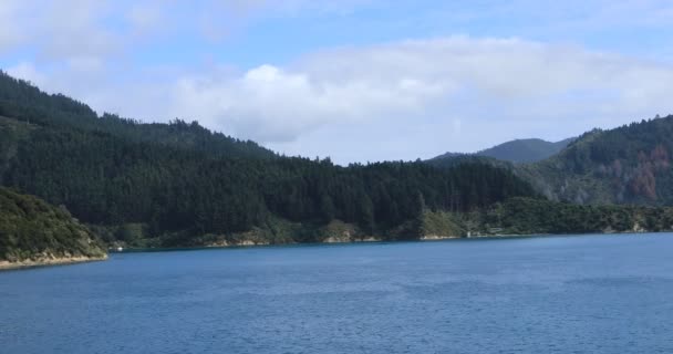 クック海峡の海岸線の眺め ニュージーランド — ストック動画
