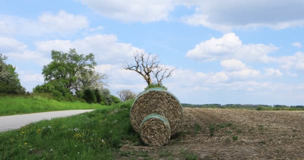 乡村道路和干草包在一个美丽的一天4K — 图库视频影像