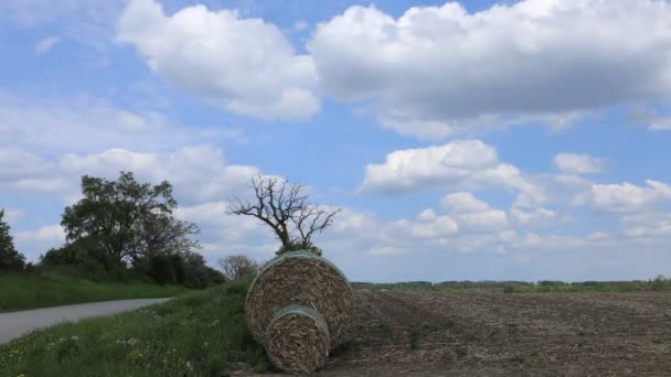 Timelapse Camino Grava Fardos Heno — Vídeos de Stock