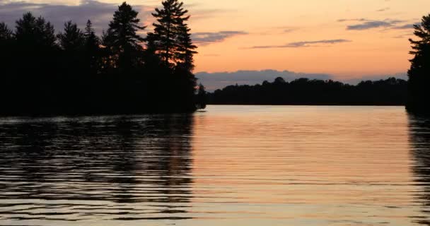 Θέα Στο Ηλιοβασίλεμα Στο Muskoka Καναδάς — Αρχείο Βίντεο