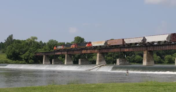 Tren Que Cruza Puente Caledonia Canadá — Vídeo de stock