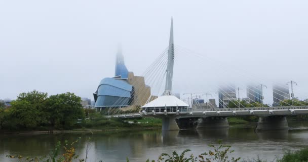 Winnipeg Manitoba Kanada September 2019 Provencher Bridge Canadian Museum Human — Stockvideo