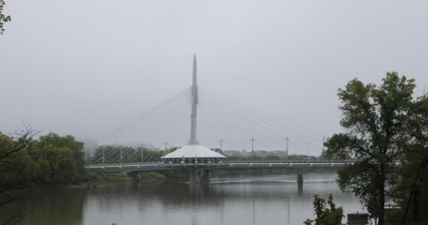 Provenzalische Brücke Einem Nebligen Morgen Winnipeg — Stockvideo