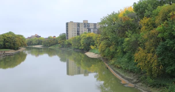 Assiniboine Nehri Manzaralı Winnipeg Manitoba — Stok video