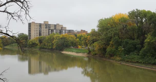 Assiniboine Nehri Sahnesi Winnipeg Kanada — Stok video