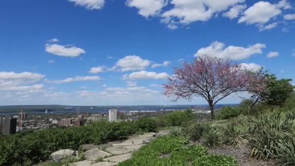 Timelapse Hamilton Ontário Visto Escarpa — Vídeo de Stock