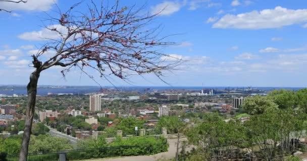 Hamilton Ontario Jelzőtábláról Nézve — Stock videók