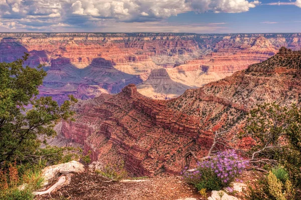 Ein Schöner Morgen Grand Canyon — Stockfoto