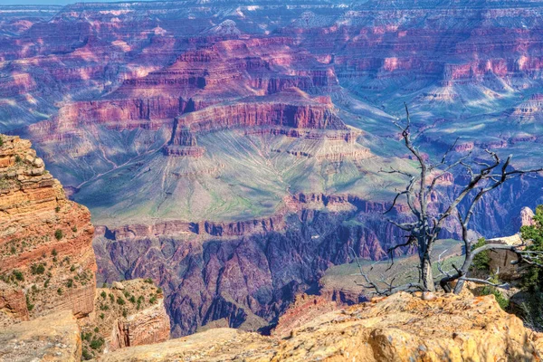 Die Erstaunliche Farbe Des Grand Canyon Frühen Morgen — Stockfoto