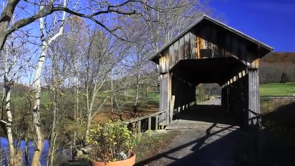 Vue Pont Couvert Moulin Ringos Dans Kentucky États Unis — Video