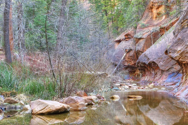 The West Fork trail in Sedona, Arizona, United States