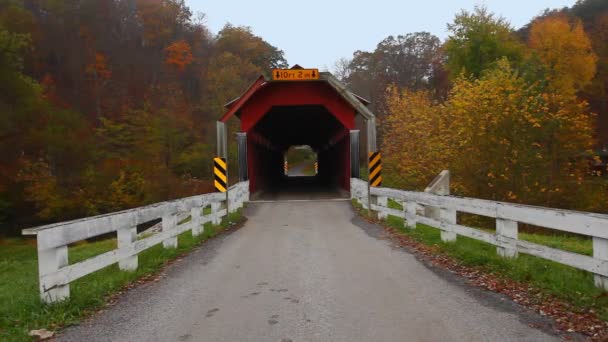 Vista Herline Covered Bridge Pennsylvania Stati Uniti — Video Stock