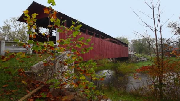 Escena Herline Covered Bridge Pennsylvania Estados Unidos — Vídeos de Stock