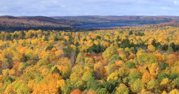 캐나다 알곤킨 공원의 아름다운 색깔로 바라봄 — 비디오