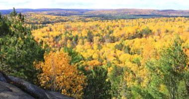 Algonquin İl Parkı, Kanada 4K 'da canlı sonbahar renginde gözden geçir
