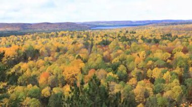 Algonquin İl Parkı, Kanada 4K 'da canlı sonbahar renginde gözden kaçırılan zaman dilimi