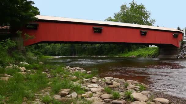 Vista Del Forksville Covered Bridge Pennsylvania Stati Uniti — Video Stock