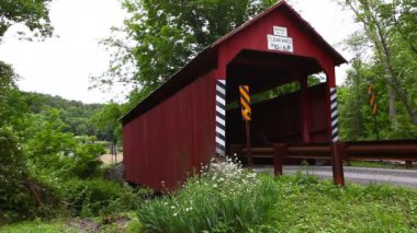 Johnson Köprüsü 'nün Pennsylvania, ABD' deki görüntüsü