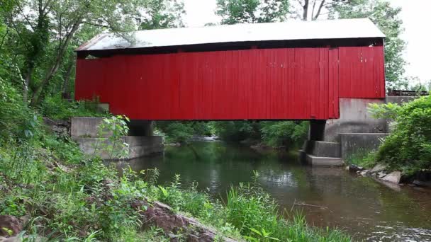 Vista Snyder Covered Bridge Pennsylvania Stati Uniti — Video Stock