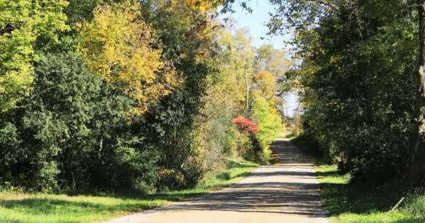 Country pruh v brilantní podzimní barvě 4K