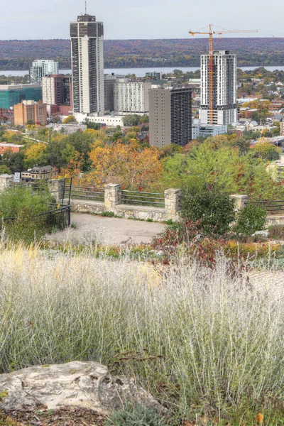 Vertikální Scéna Hamiltonu Ontario Podzim — Stock fotografie