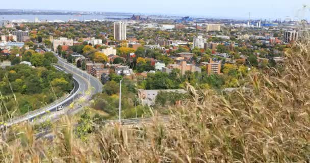 Kleurrijke Scène Van Hamilton Canada Herfst — Stockvideo