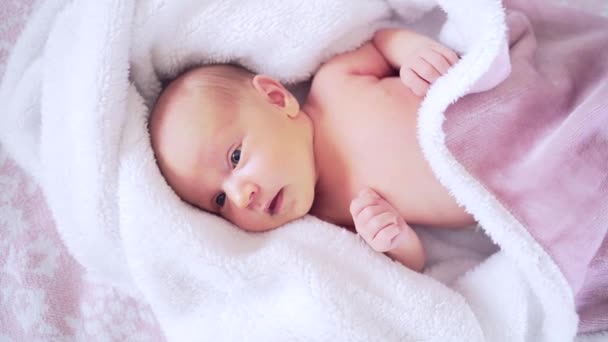 Νεογέννητο Είναι Καλυμμένο Ροζ Κουβέρτα Στην Κορυφή Παιδί Ξύπνησε Ξαπλωμένος — Αρχείο Βίντεο