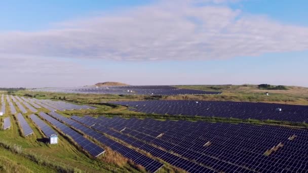 Una Gran Área Está Cubierta Con Paneles Solares Sol Refleja — Vídeos de Stock